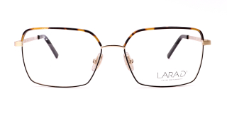 Lara D Alfred